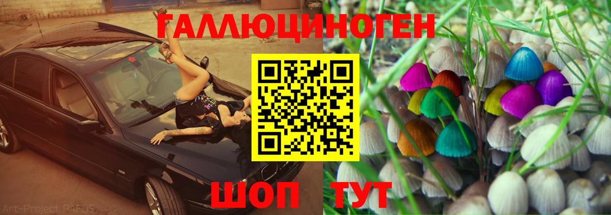 Псилоцибиновые грибы мухоморы  Галлюциногенные грибы MAGIC MUSHROOMS  Пугачёв  Вход с VPN 